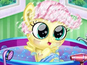 Resim Hamile midilli kontrolü